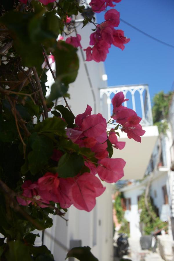 Cozy Home 2 Tinos Ngoại thất bức ảnh